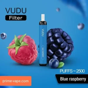 VUDU FILTER 2500 Puffs Disposable Pod Kit Blue Raspberry