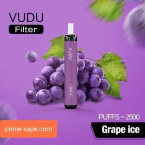 Best VUDU FILTER Disposable Vape Kit 2500 Puffs Grape ice