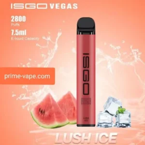 Online Store ISGO VEGAS Disposable Vape 2800 Puffs Lush ice - Dubai