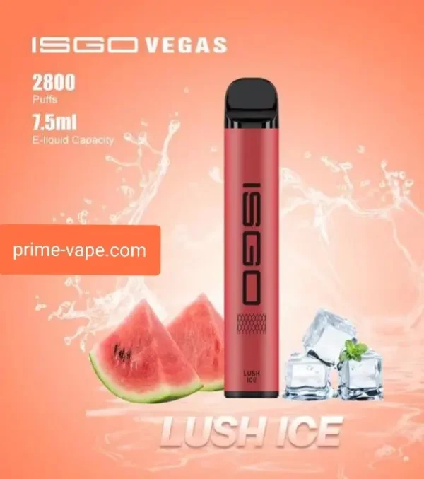 Online Store ISGO VEGAS Disposable Vape 2800 Puffs Lush ice - Dubai