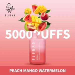 ELF BAR BC5000 Disposable Pod Peach Mango Watermelon- Kit