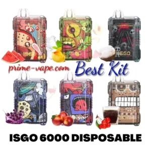 All Best Flavors 6000 Puffs ISGO Disposable Vape | New Pod Kit