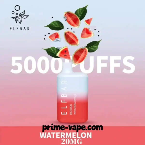 Elf Bar 5000 Puffs Disposable Vape Kit in Dubai | Five Best Flavors