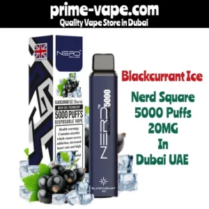 Nerd Square Blackcurrant Ice 5000 Puffs Disposable Vape in Dubai