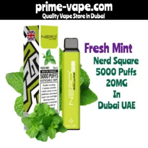 Nerd Square Fresh Mint 5000 Puffs Disposable Vape in Dubai UAE