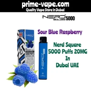 Nerd Square Sour Blue Raspberry 5000 Puffs Disposable Vape