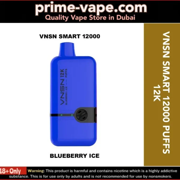 VNSN Smart 12000 Puffs Disposable Vape 12K in Dubai UAE