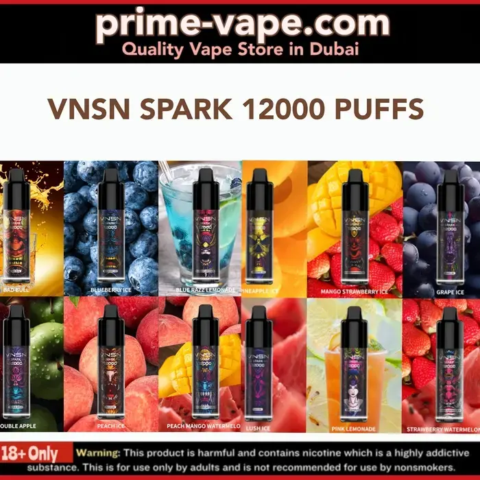 Best VNSN SPARK 12000 Puffs Disposable Vape in Dubai UAE