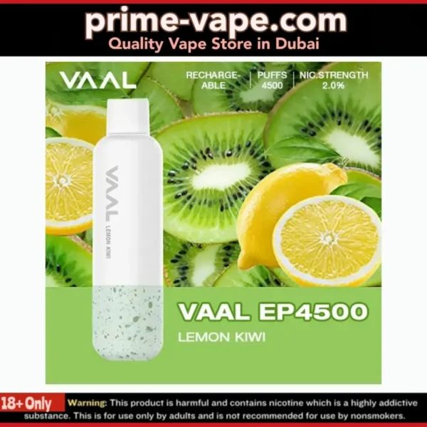 VAAL EP4500 Disposable Vape in Dubai- Rechargeable 4500 Puffs