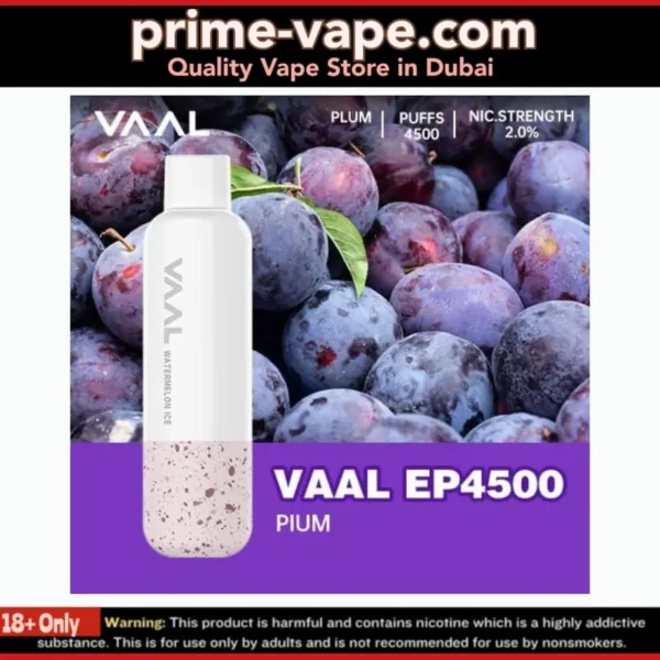 VAAL EP4500 Disposable Vape in Dubai- Rechargeable 4500 Puffs