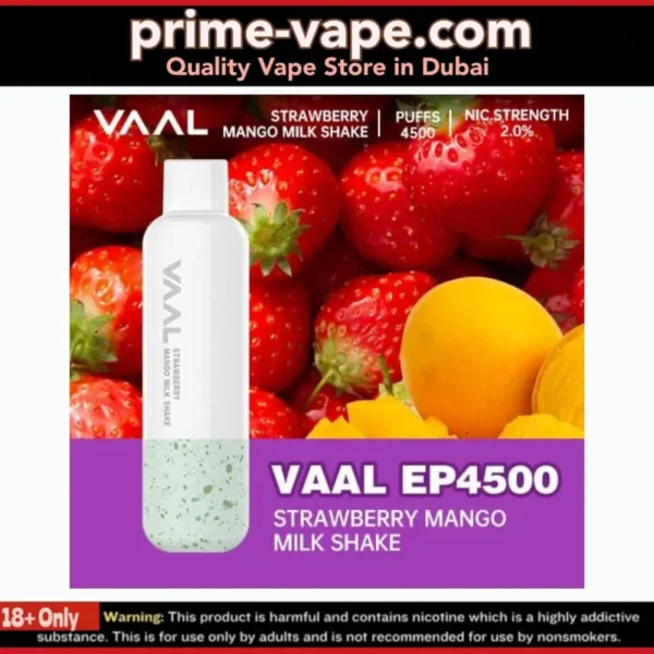 VAAL EP4500 Disposable Vape in Dubai- Rechargeable 4500 Puffs