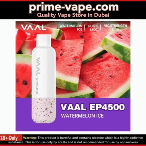 VAAL EP4500 Disposable Vape in Dubai- Rechargeable 4500 Puffs