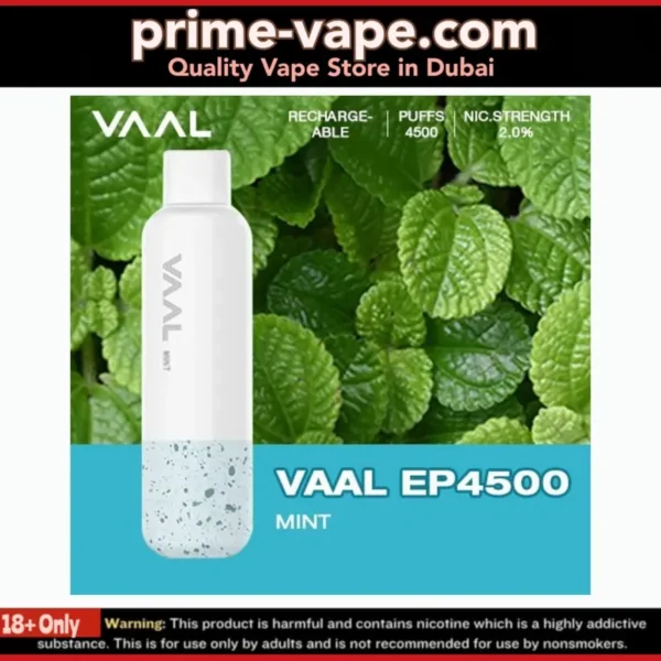 VAAL EP4500 Disposable Vape in Dubai- Rechargeable 4500 Puffs