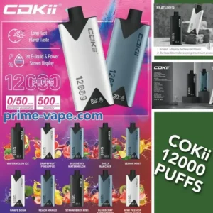 Cokii 12000 Puffs Disposable Vape in Dubai UAE | 0mg, 50mg