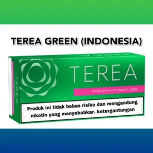 Heets Terea Green Indonesian Version in Dubai UAE- for IQOS