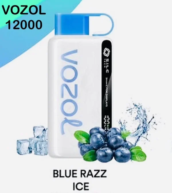 Vozol Star 12000 Puffs Disposable Vape in Dubai UAE- Best Kit