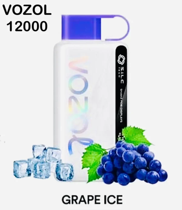 Vozol Star 12000 Puffs Disposable Vape in Dubai UAE- Best Kit