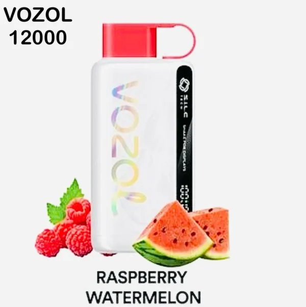 Vozol Star 12000 Puffs Disposable Vape in Dubai UAE- Best Kit