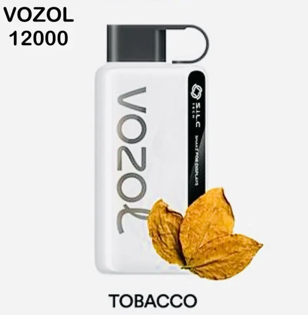 Vozol Star 12000 Puffs Disposable Vape in Dubai UAE- Best Kit