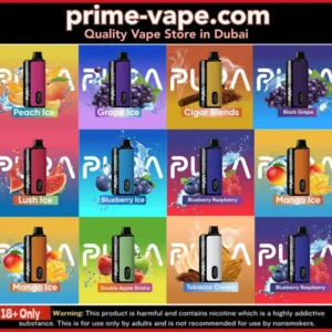 New Pura 12000 Puffs Disposable Vape with Extended Flavors