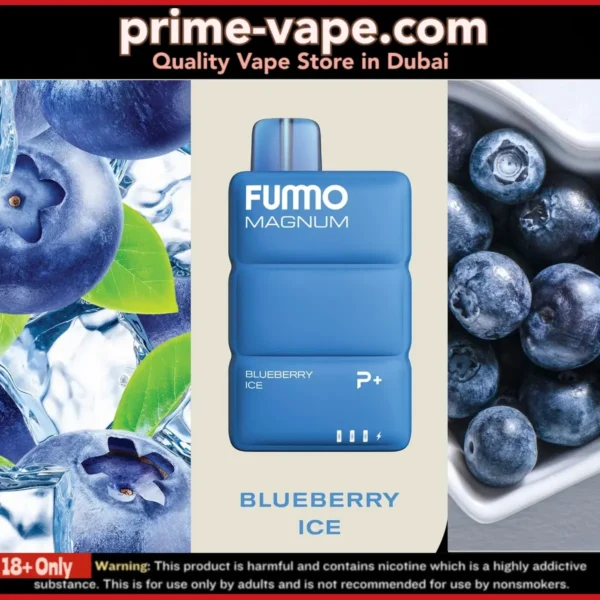 Best Fumo Magnum 8000 Puffs Disposable Vape in Dubai UAE