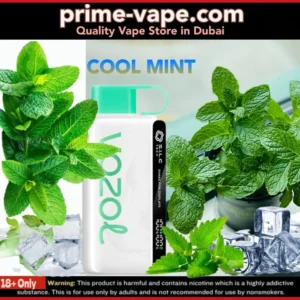 Vozol Star Cool Mint 12000 Puffs Disposable Vape in Dubai UAE