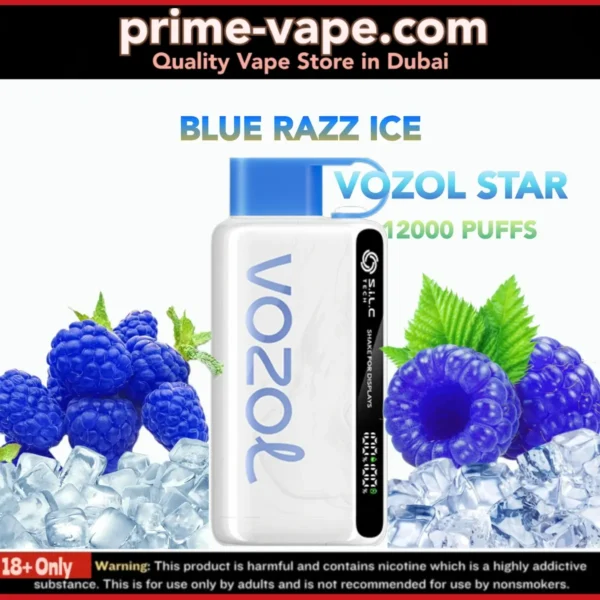 Vozol 12000 Puffs Blue Razz Ice Disposable Vape- Star Kit Dubai