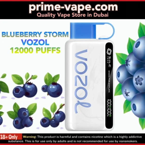 Vozol Star Blueberry Storm 12000 Puffs Disposable Vape- Best