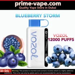 Vozol Star Blueberry Storm 12000 Puffs Disposable Vape- Best