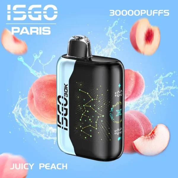 ISGO PARIS X 30000 Puffs Disposable Vape in Dubai UAE