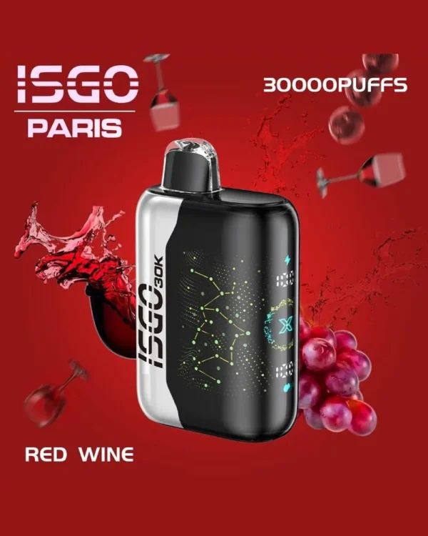 ISGO PARIS X 30000 Puffs Disposable Vape in Dubai UAE