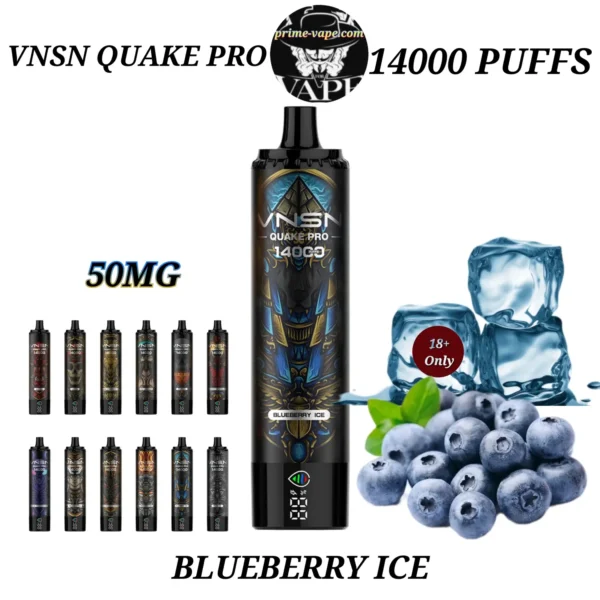 VNSN Blueberry Ice 14000 Puffs Quake Pro disposable vape Dubai