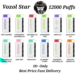 BEST VOZOL Star 12000 Puffs Disposable Vape 23 Flavors- Dubai