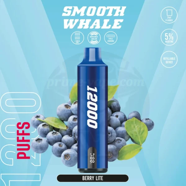 Smooth Whale 12000 Puffs Disposable Vape in Dubai UAE