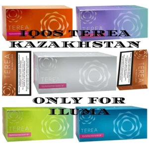 Terea Kazakhstan Flavors