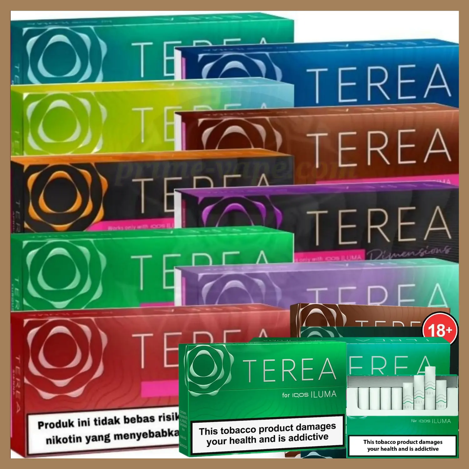 Terea Authentic Flavors Buy