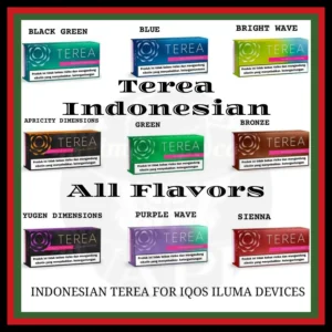 Terea Authentic Flavors from Indonesia