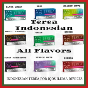 Terea Authentic Flavors Indonesian