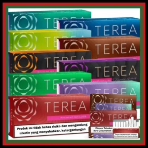 Terea Flavors Indonesian Authentic