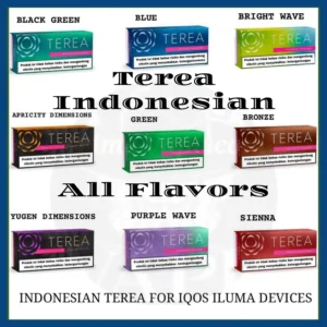 Terea Indonesian All Flavors UAE