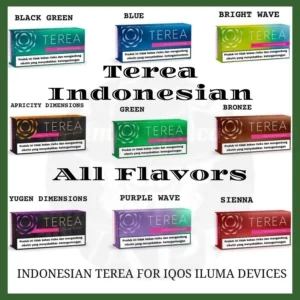 Terea Indonesian Best Flavors