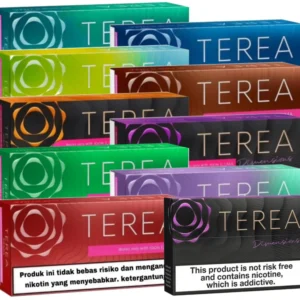 Terea Indonesian Flavors