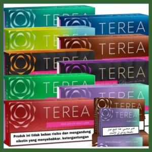 Terea Indonesian Flavors Authentic