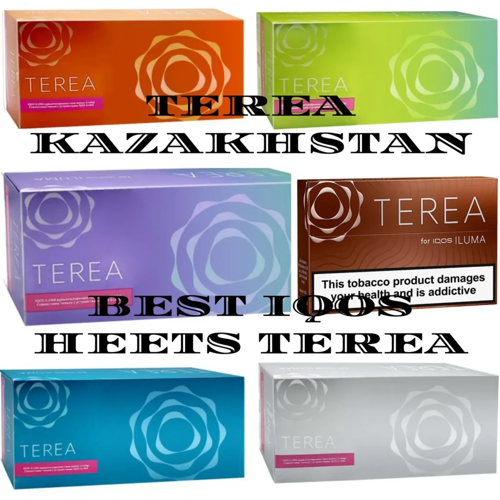 Terea Kazakhstan Flavors Authentic