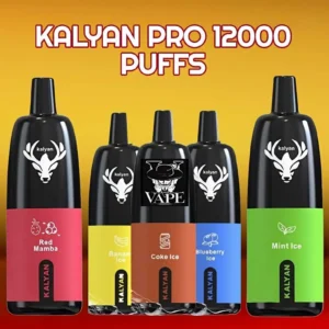 Kalyan Pro 12000 Puffs Disposable Vape 5% - Dubai UAE