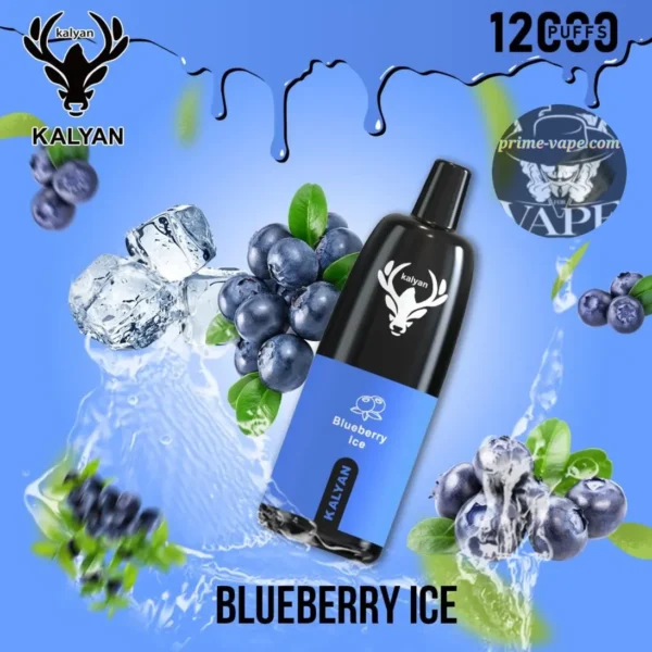 Kalyan Pro 12000 Puffs Disposable Vape Pod 5% | Prime-Vape