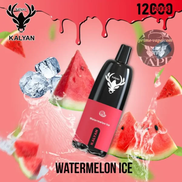 Kalyan Pro 12000 Puffs Disposable Vape Pod 5% | Prime-Vape - Image 2
