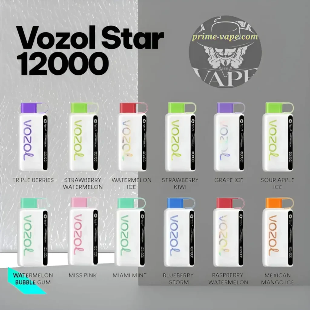 Best Vozol Star 12000 Puffs | Stylish Modern Disposable Vape