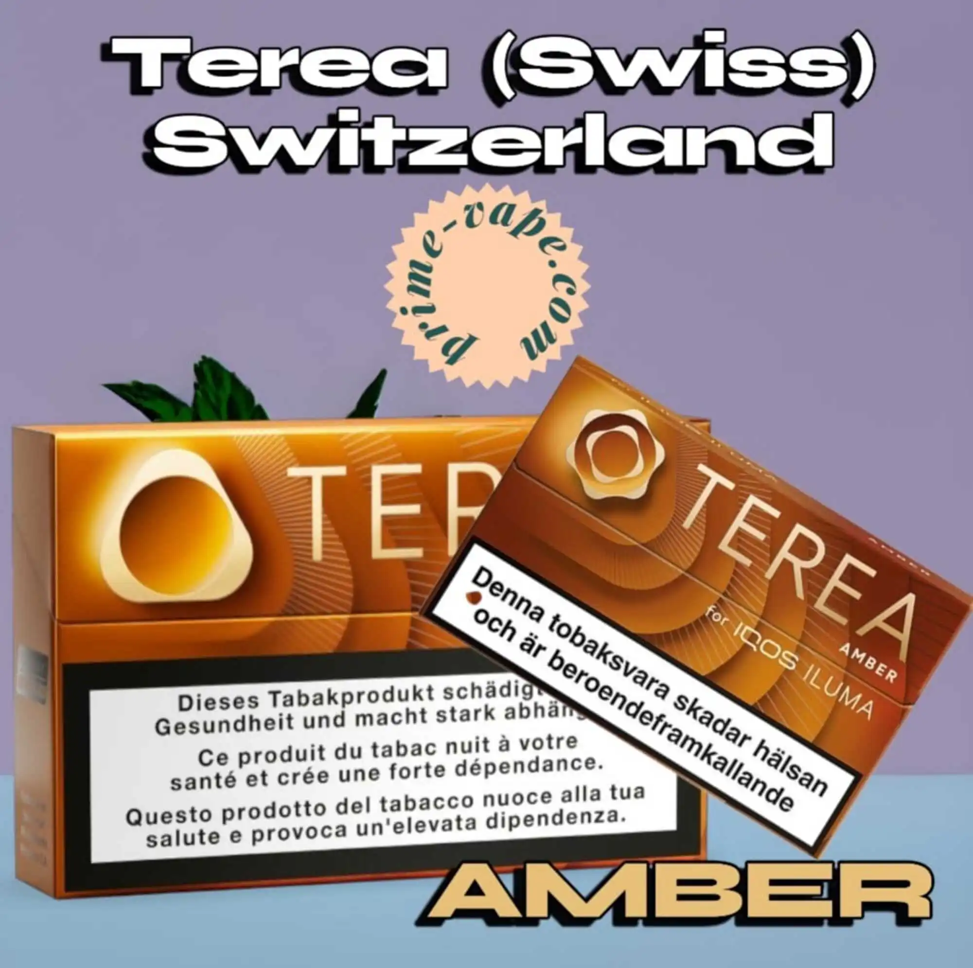 Best Terea Amber Flavor (Swiss) Switzerland Edition - Dubai
