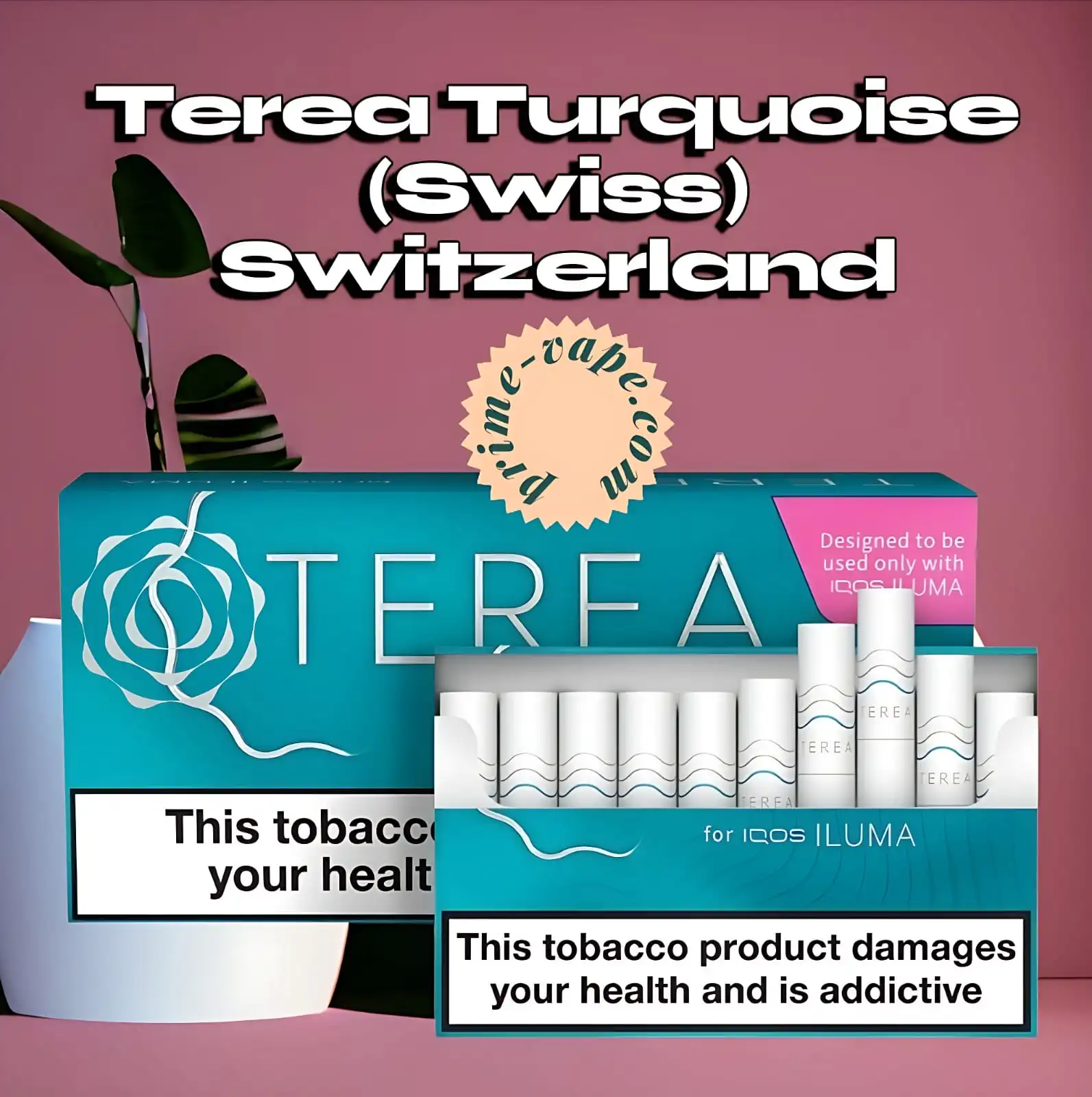 Terea Turquoise Swiss Tobacco Sticks in Dubai - Switzerland